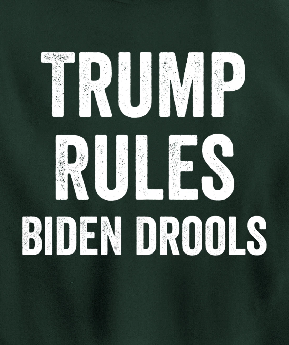 Funny Trump Rules Biden Drools Pullover Hoodie