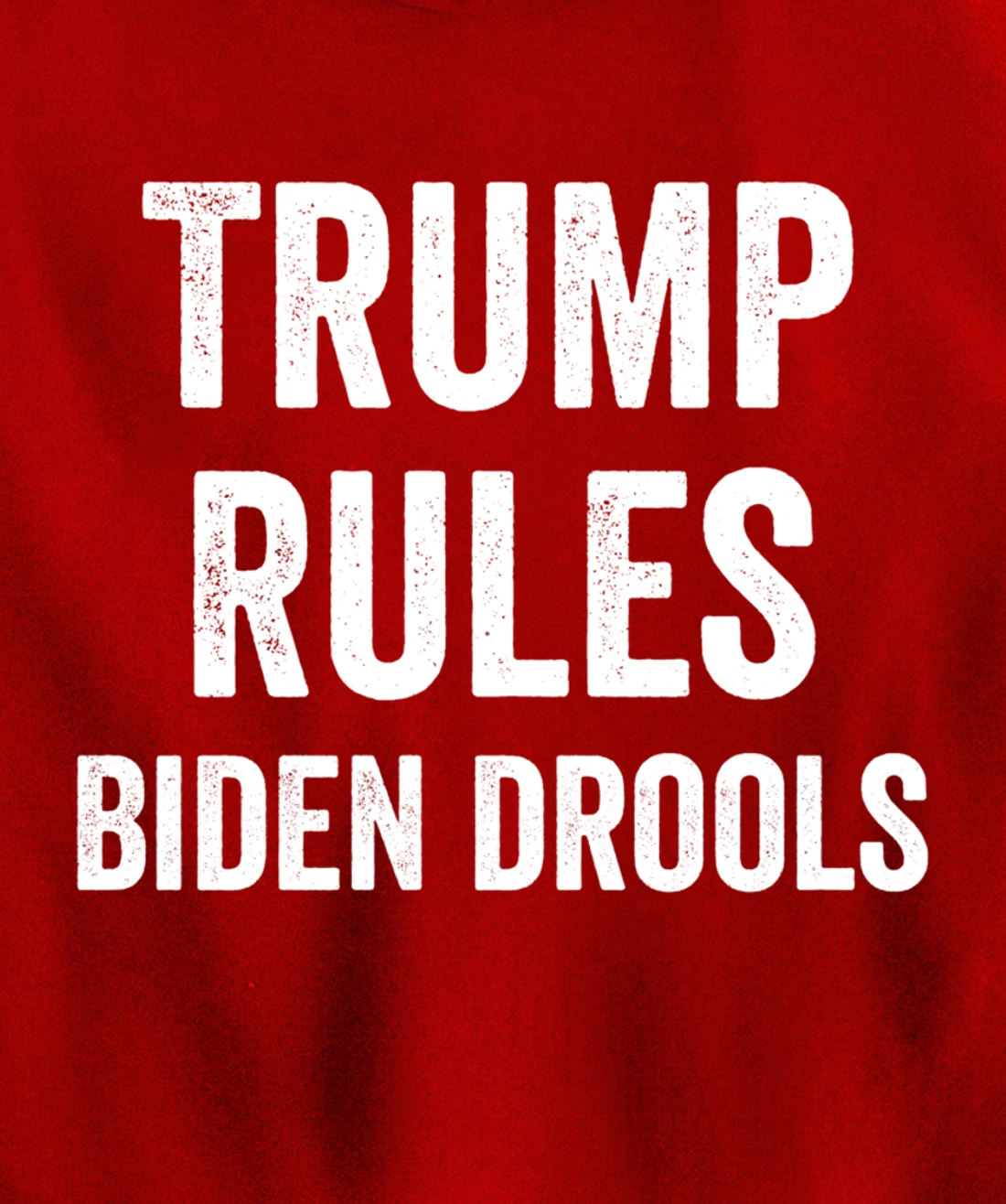Funny Trump Rules Biden Drools Pullover Hoodie