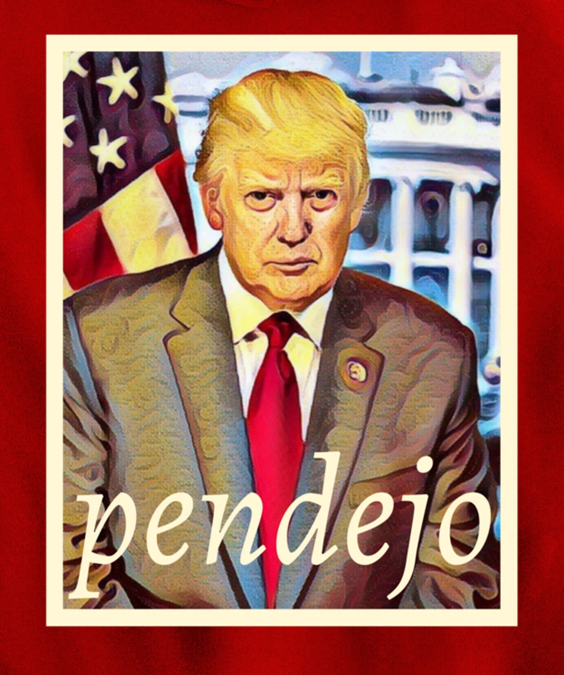 Pendejo Anti-Trump Protest Pullover Hoodie