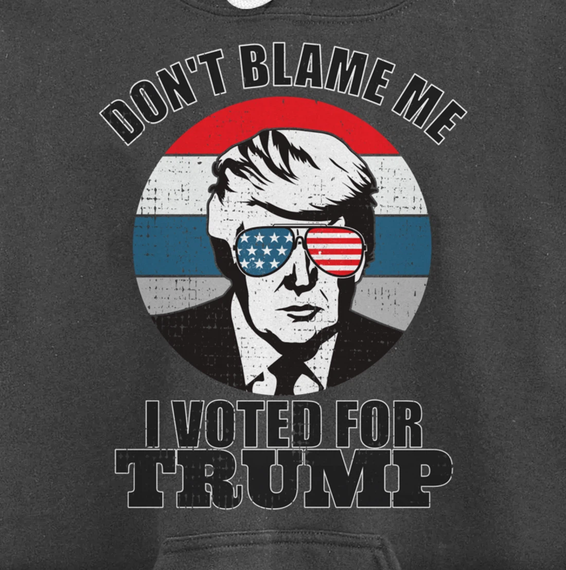 Don't Blame Me I Voted For Trump Pullover Hoodie