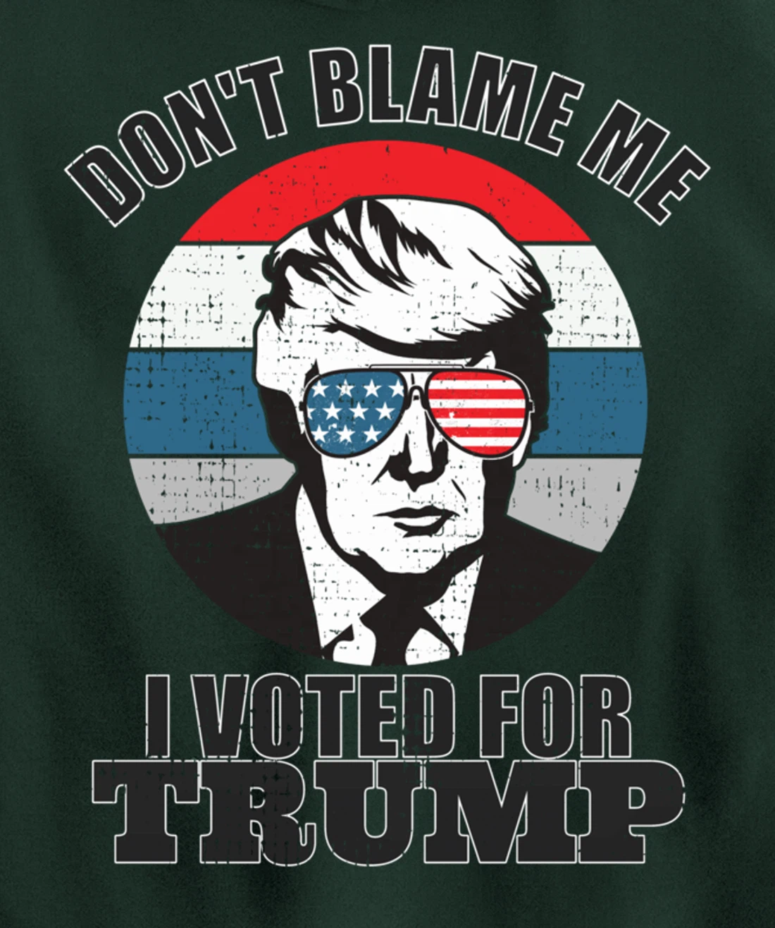 Don't Blame Me I Voted For Trump Pullover Hoodie