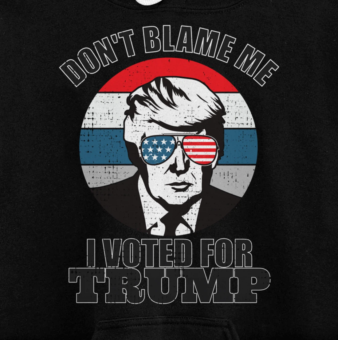 Don't Blame Me I Voted For Trump Pullover Hoodie