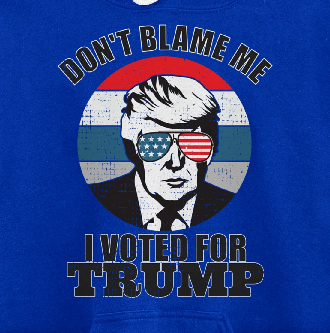 Don't Blame Me I Voted For Trump Pullover Hoodie