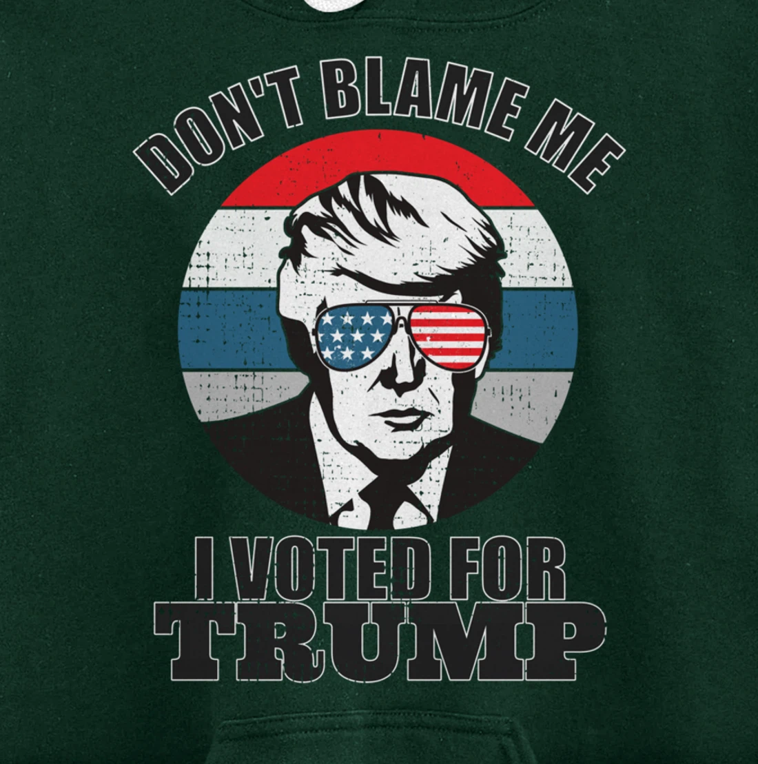 Don't Blame Me I Voted For Trump Pullover Hoodie
