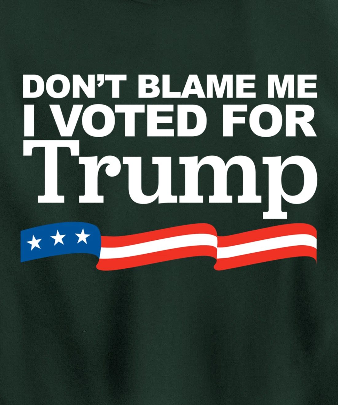 Don't Blame Me I Voted for Trump Pullover Hoodie