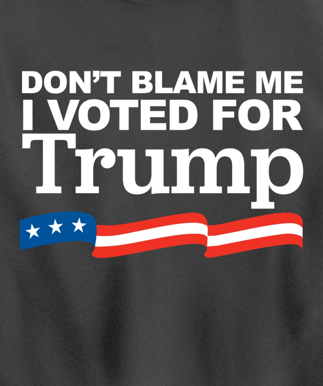 Don't Blame Me I Voted for Trump Pullover Hoodie