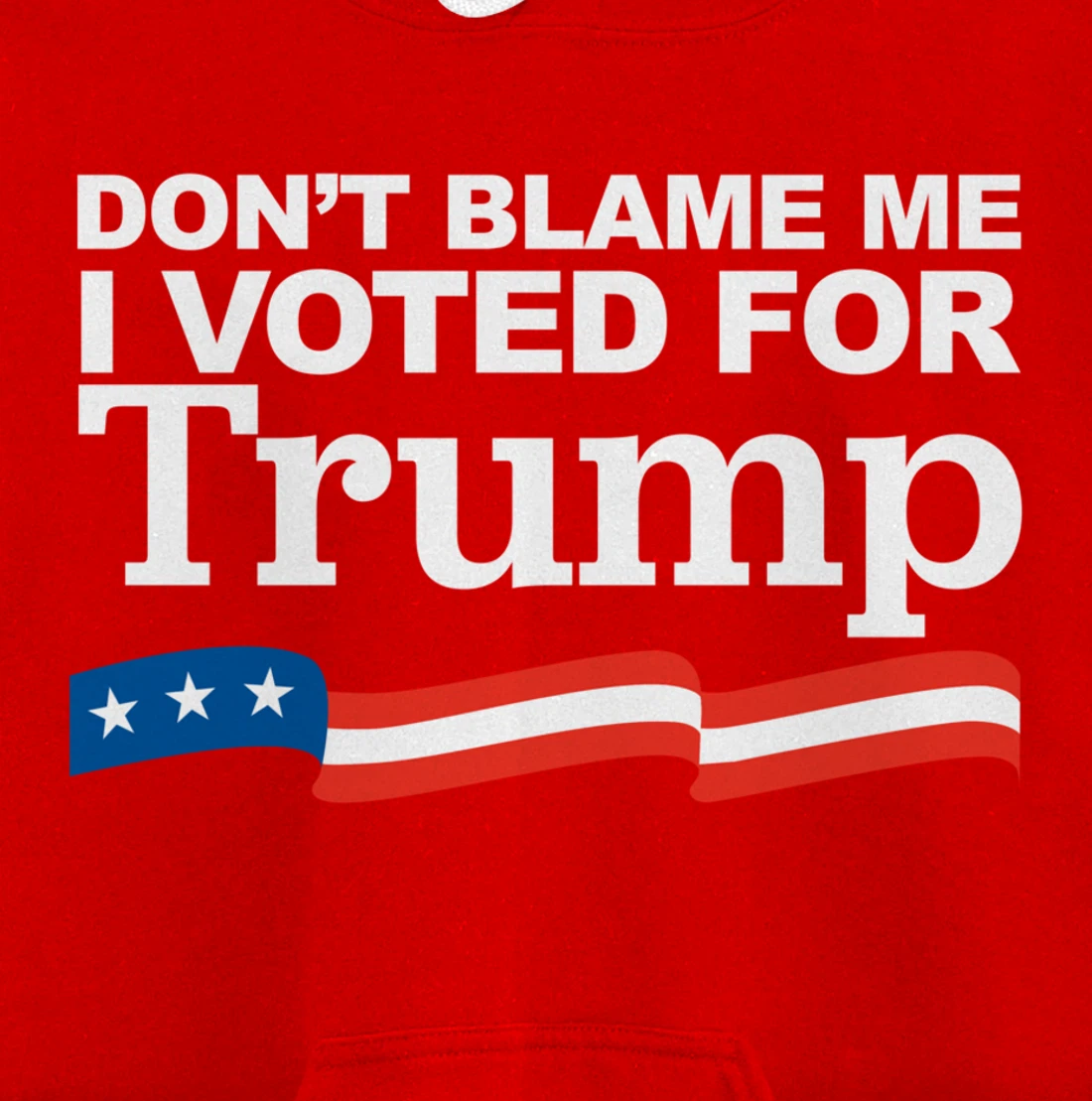 Don't Blame Me I Voted for Trump Pullover Hoodie