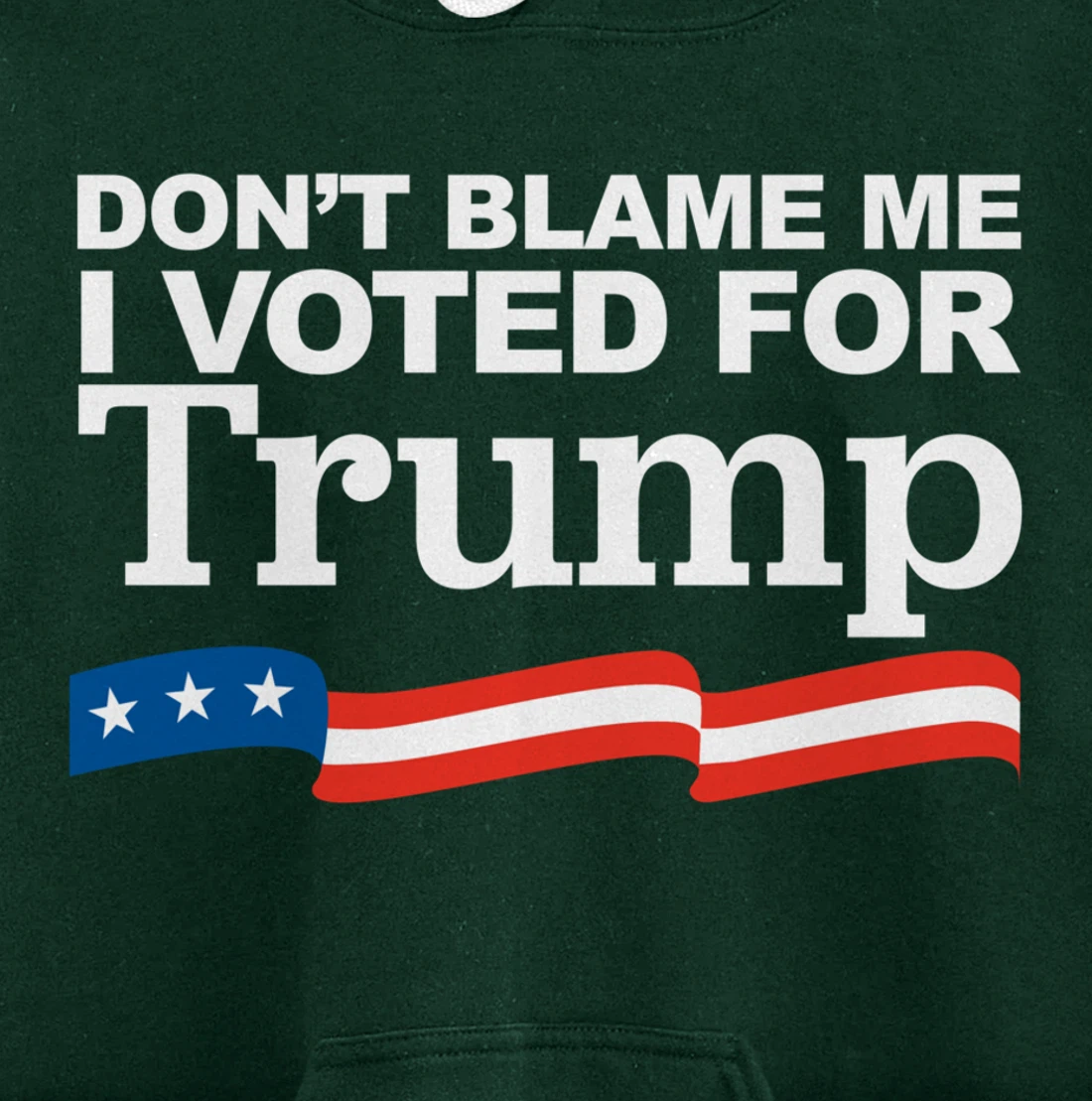 Don't Blame Me I Voted for Trump Pullover Hoodie
