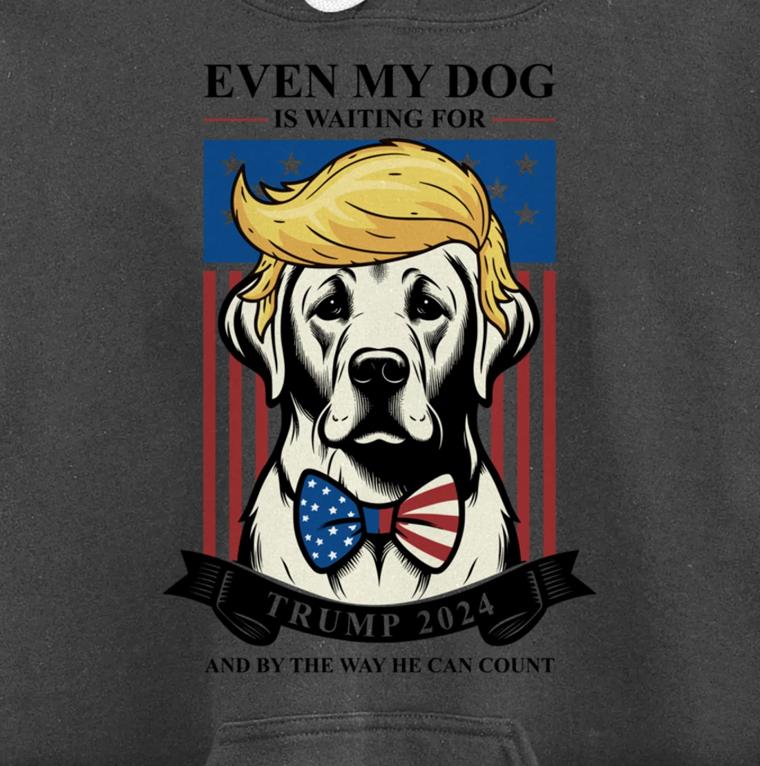 Labrador Retriever Even My Dog Is Waiting For Trump 2024 Pullover Hoodie