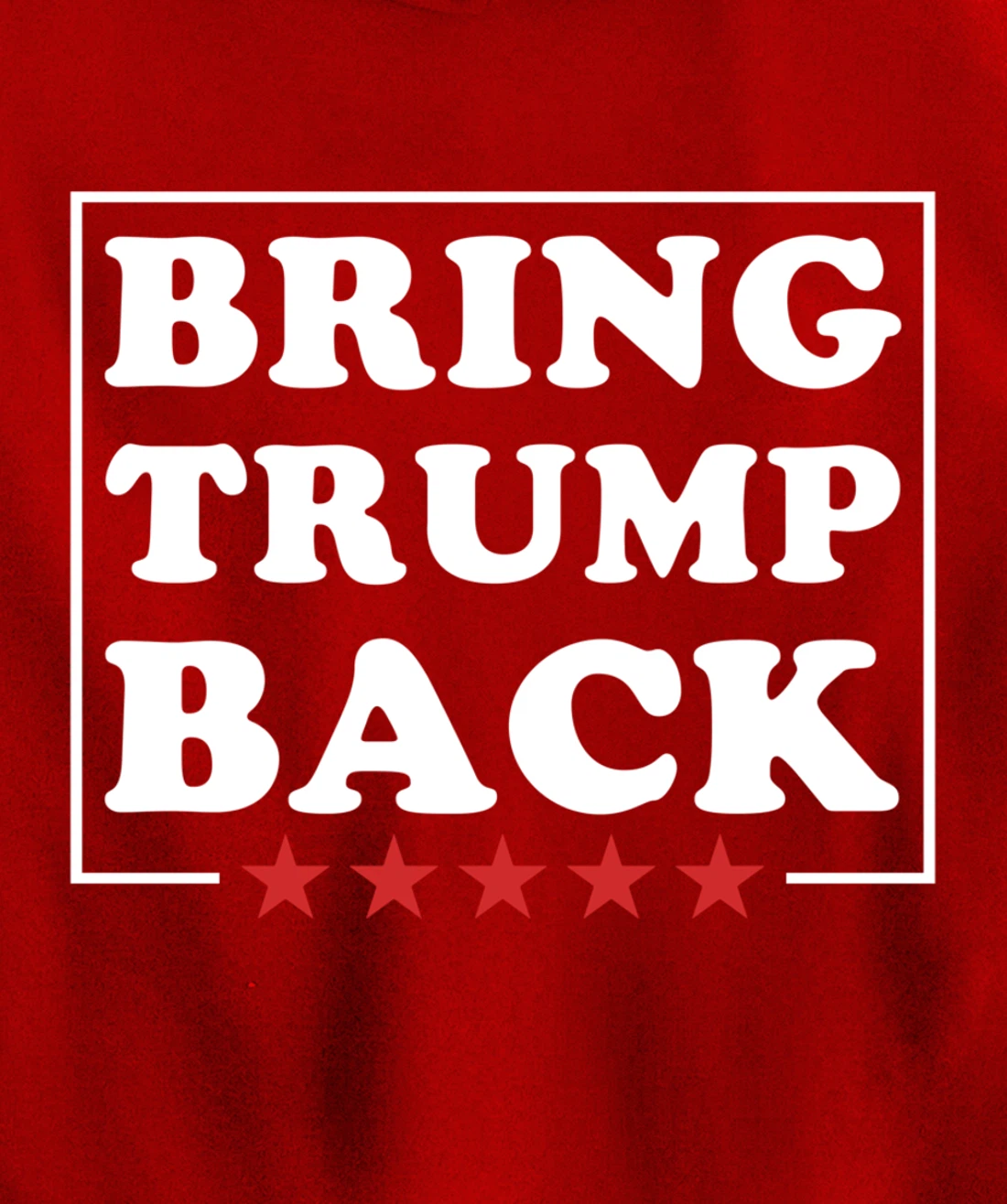 Bring Trump Back Pullover Hoodie