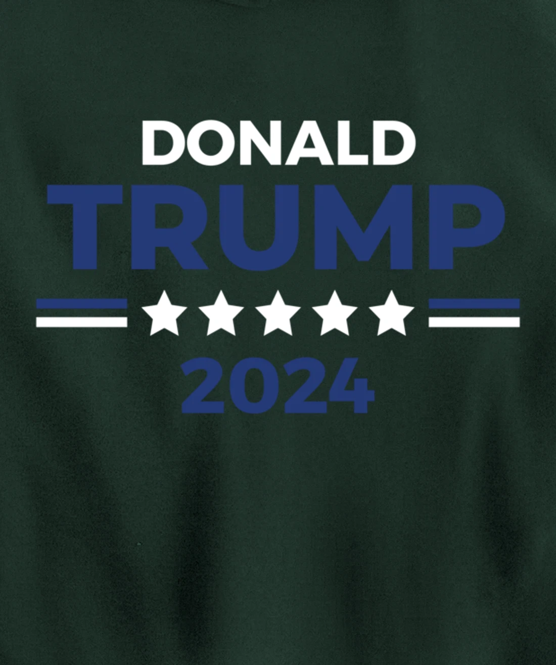 Re-Elect President Donald Trump in 2024 Pullover Hoodie