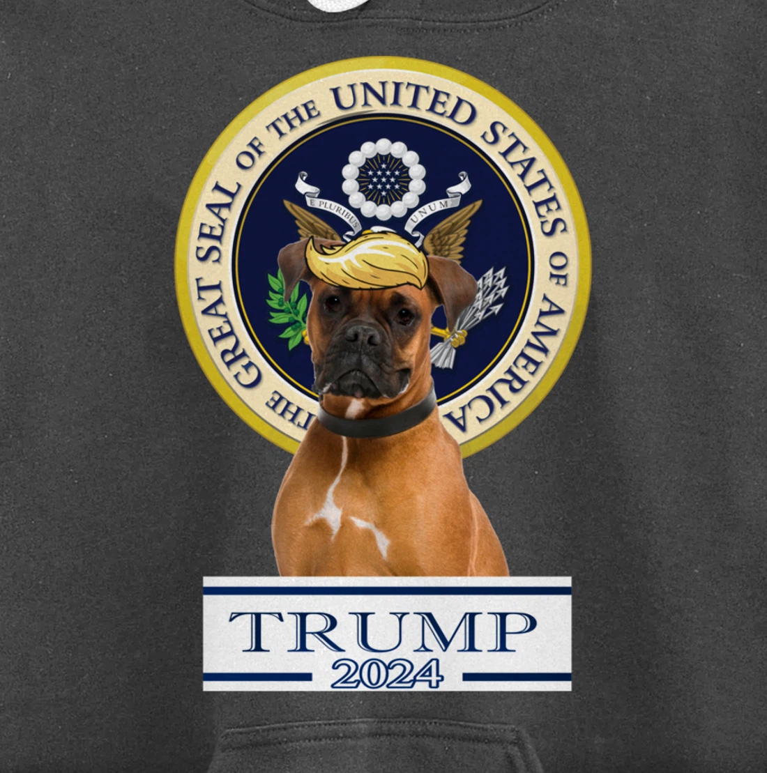 Trump 2024 Boxer Pullover Hoodie