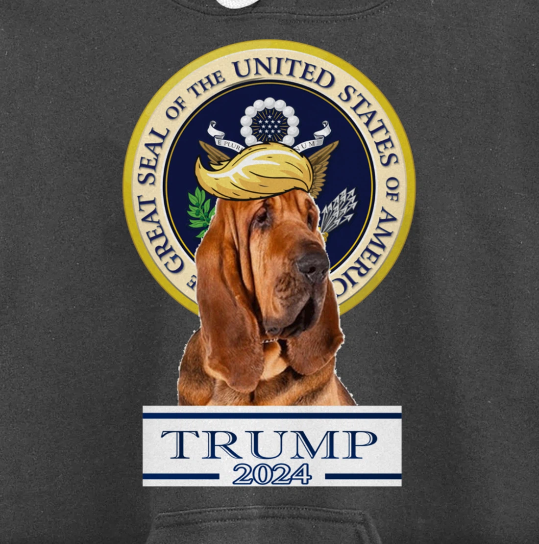 Trump 2024 Bloodhound Pullover Hoodie