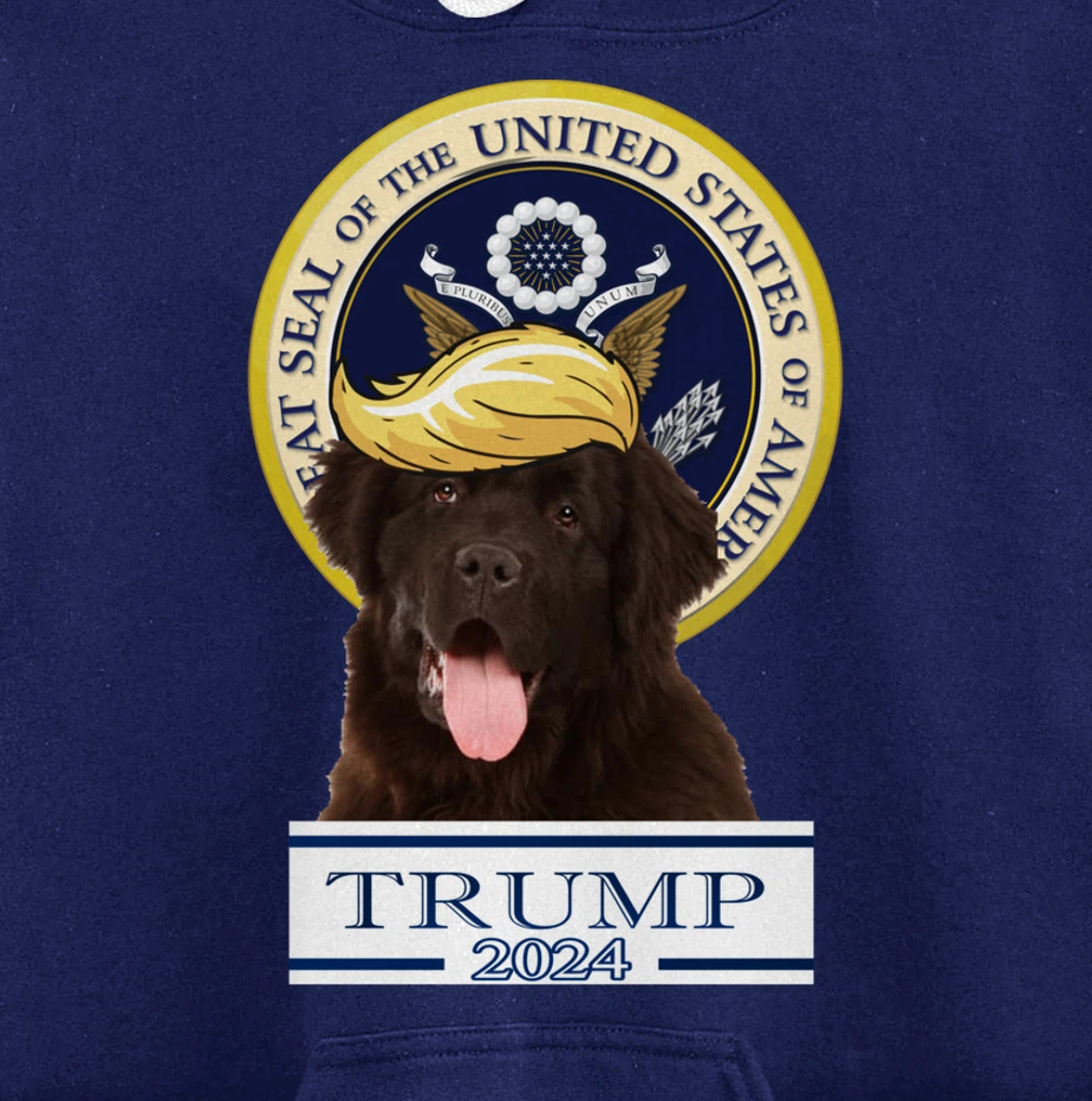 Trump 2024 Newfoundland Pullover Hoodie