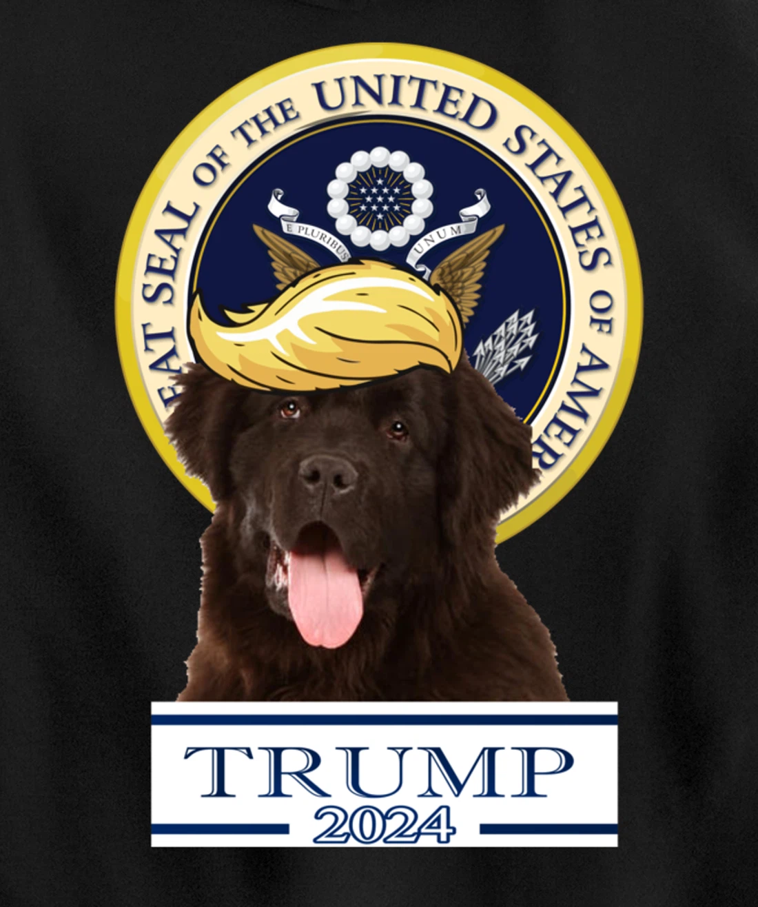 Trump 2024 Newfoundland Pullover Hoodie