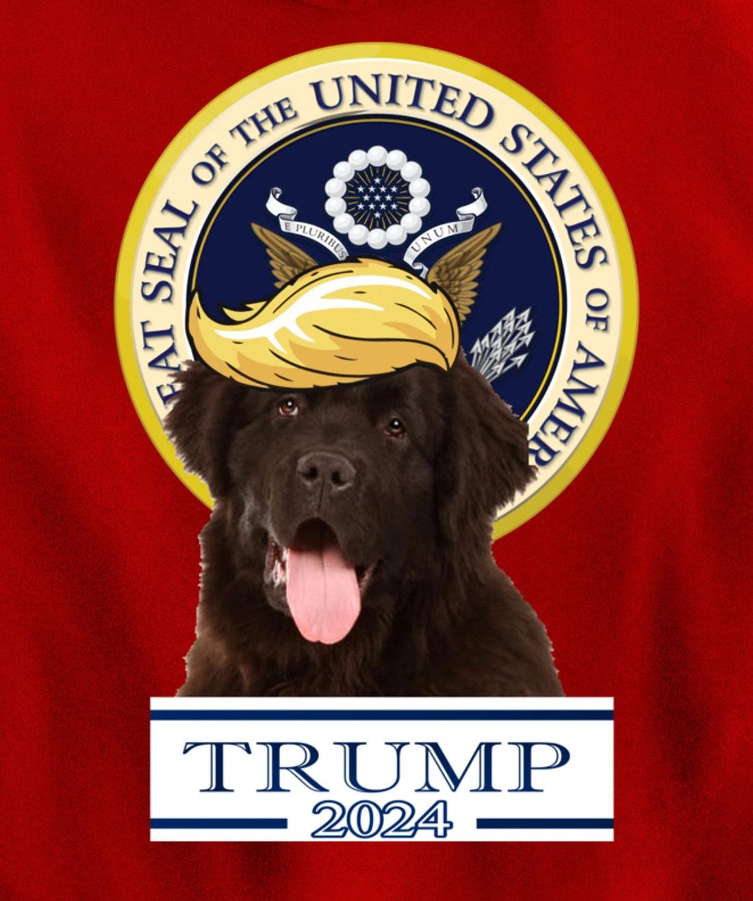 Trump 2024 Newfoundland Pullover Hoodie