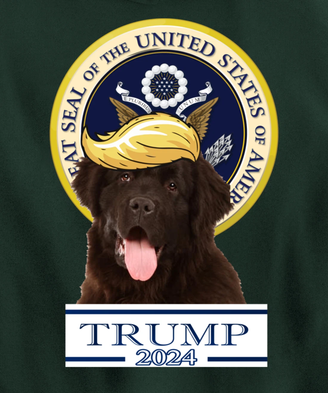 Trump 2024 Newfoundland Pullover Hoodie