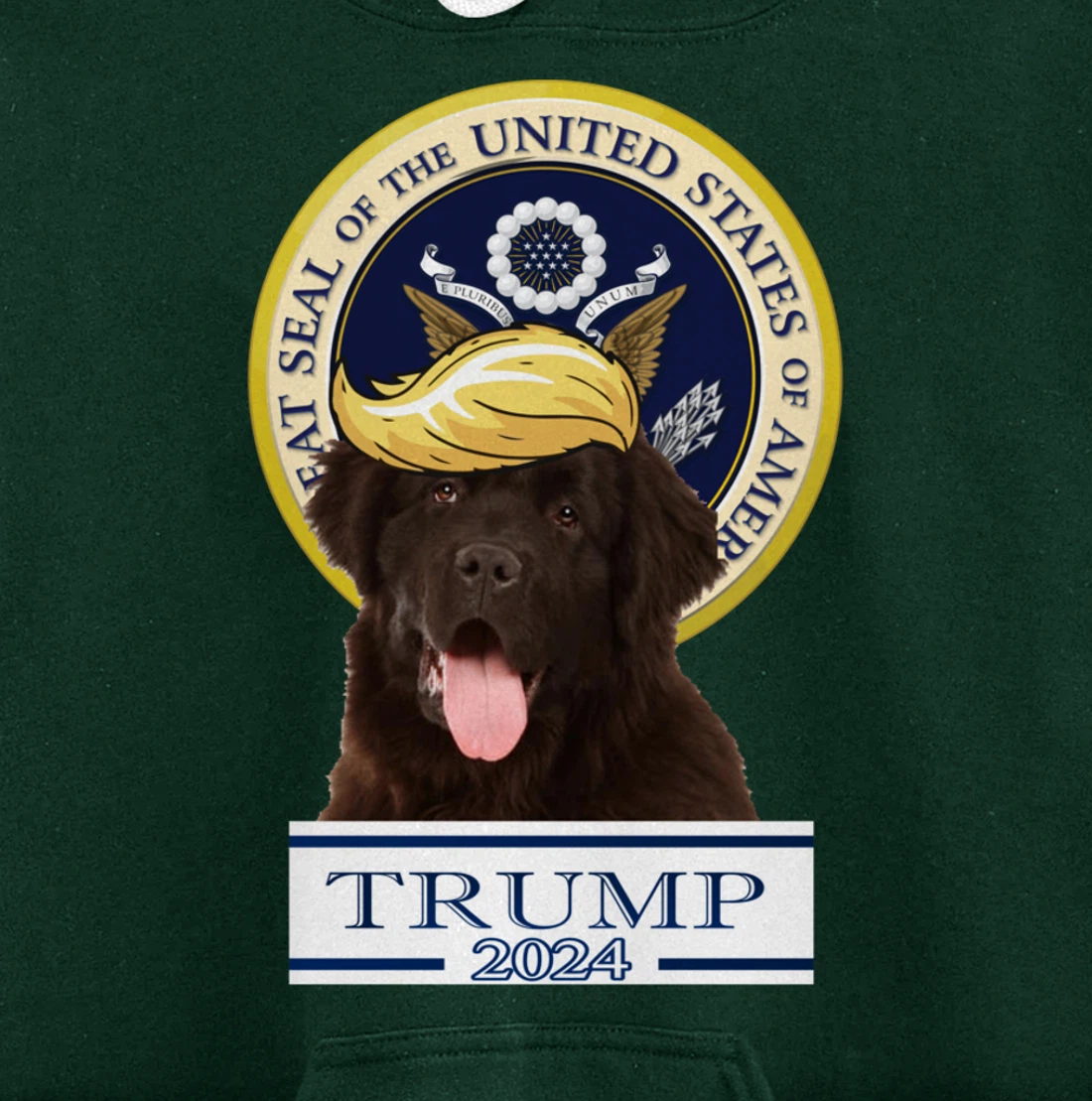 Trump 2024 Newfoundland Pullover Hoodie