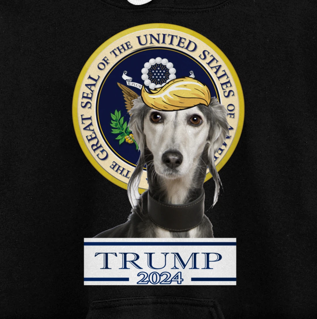 Trump 2024 Saluki Pullover Hoodie