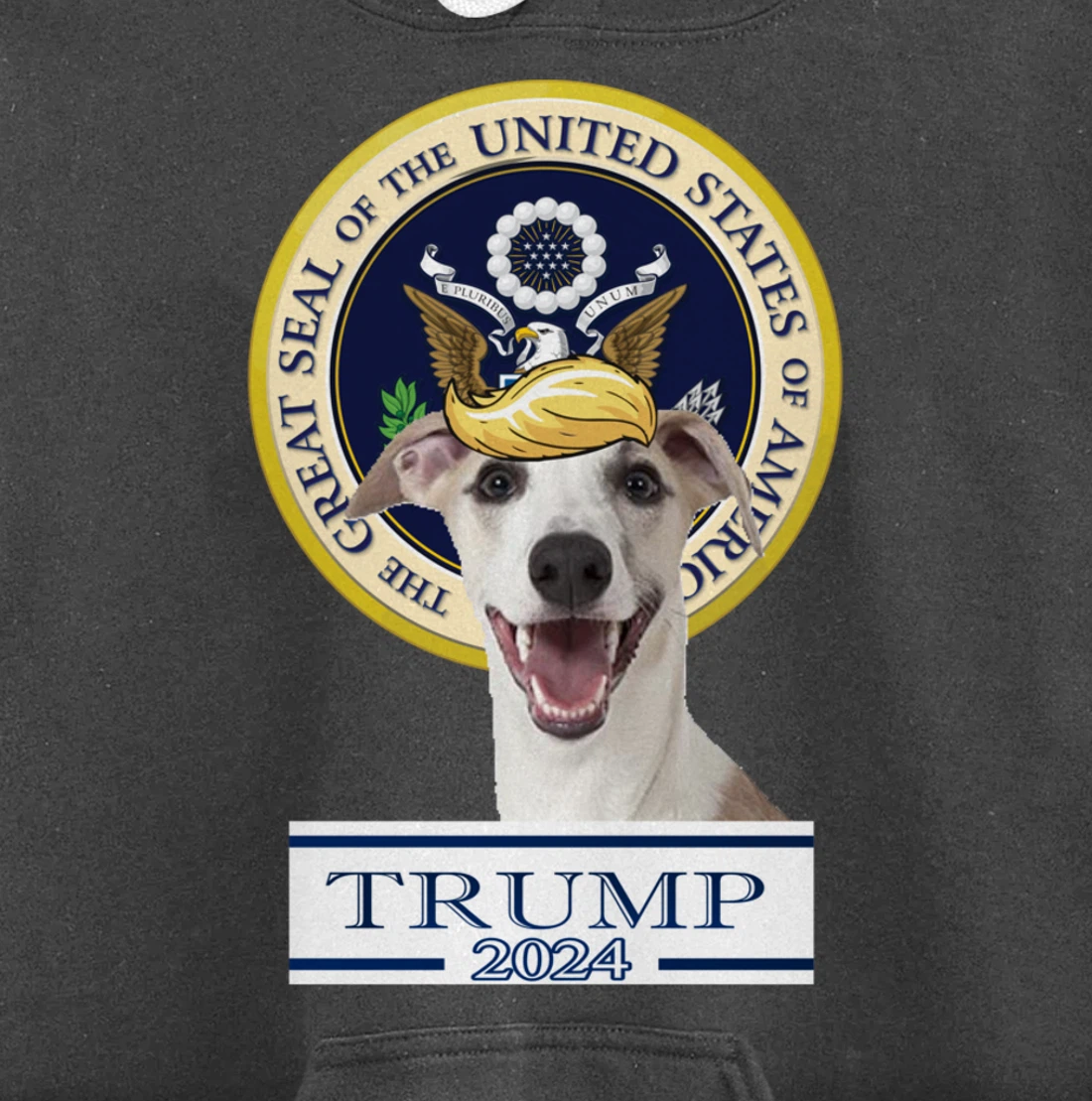Trump 2024 Whippet Pullover Hoodie