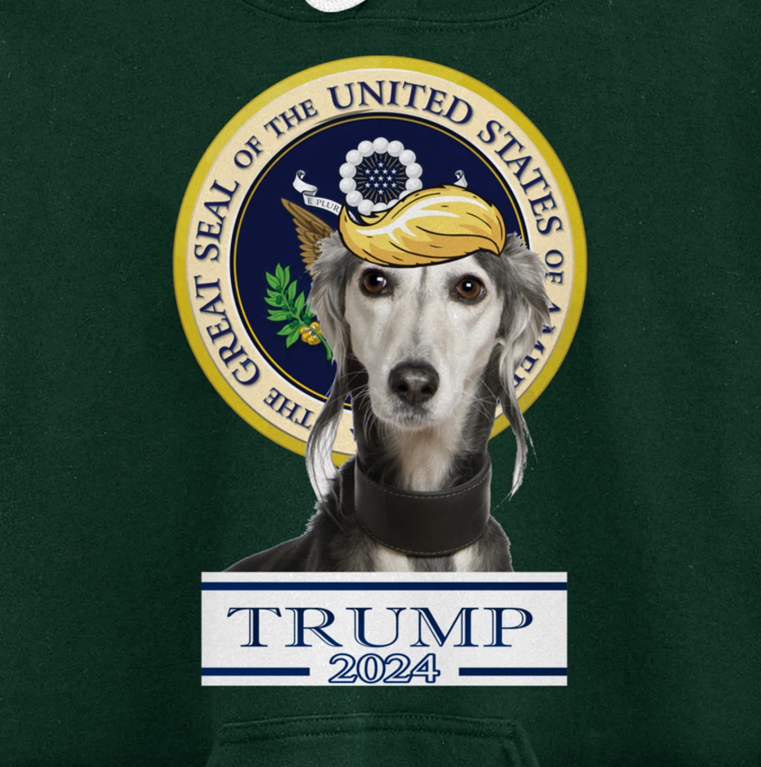 Trump 2024 Saluki Pullover Hoodie