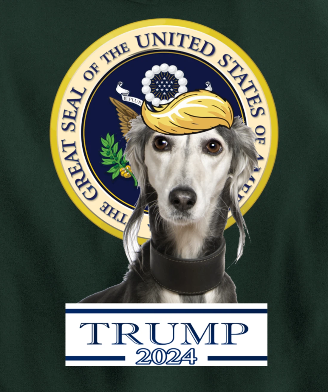 Trump 2024 Saluki Pullover Hoodie