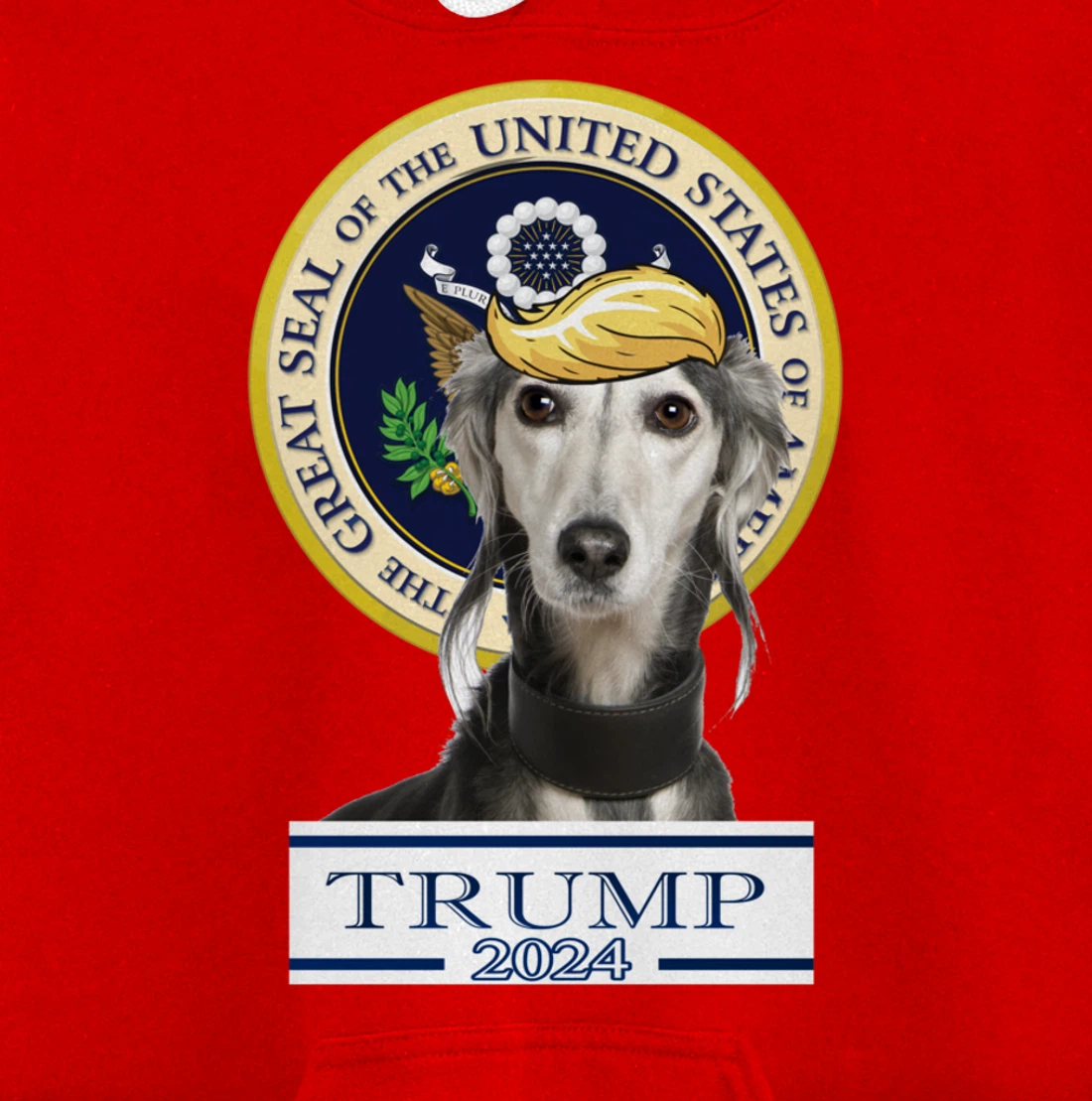 Trump 2024 Saluki Pullover Hoodie