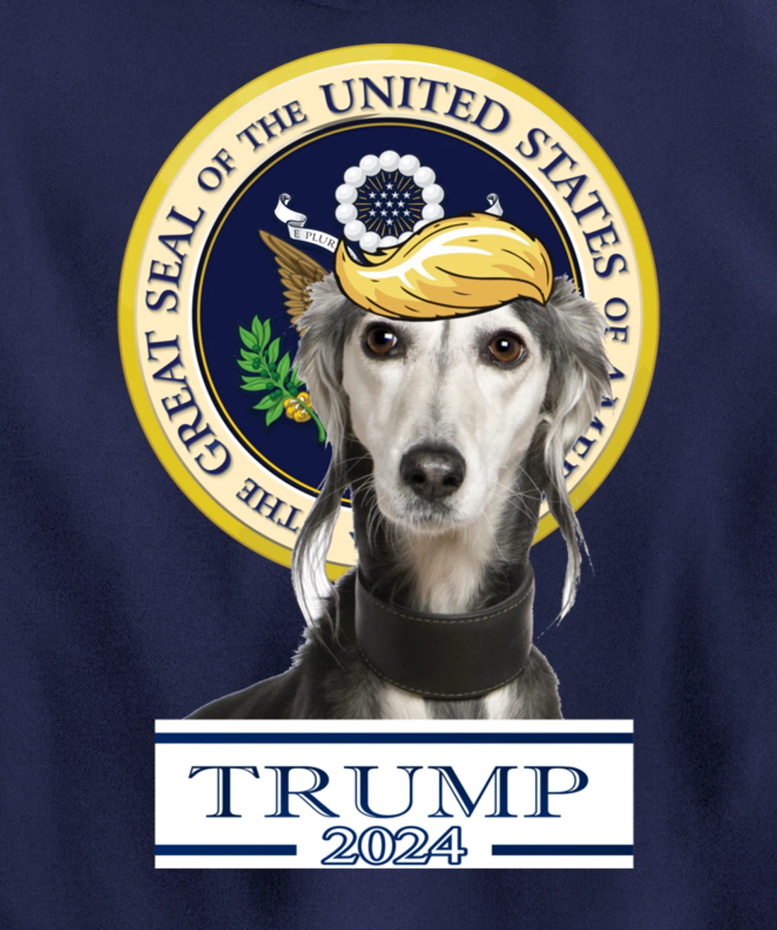 Trump 2024 Saluki Pullover Hoodie