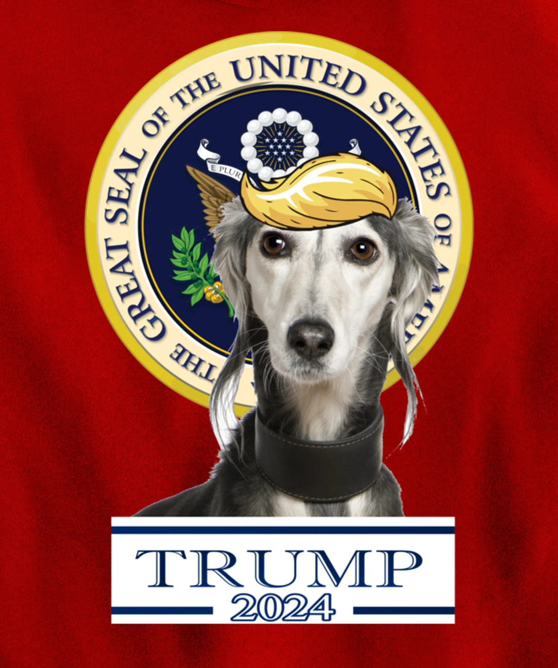 Trump 2024 Saluki Pullover Hoodie