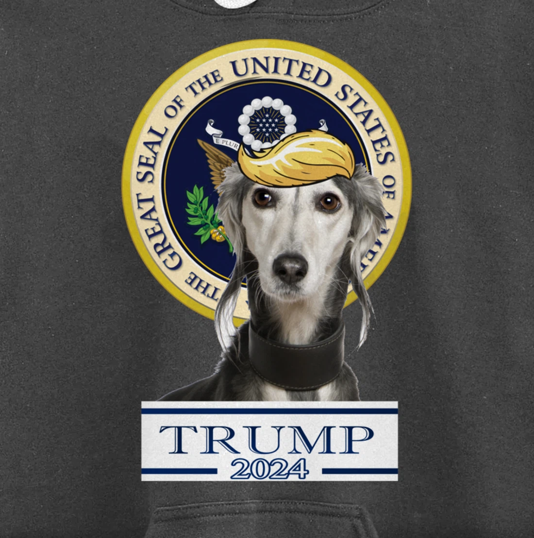 Trump 2024 Saluki Pullover Hoodie