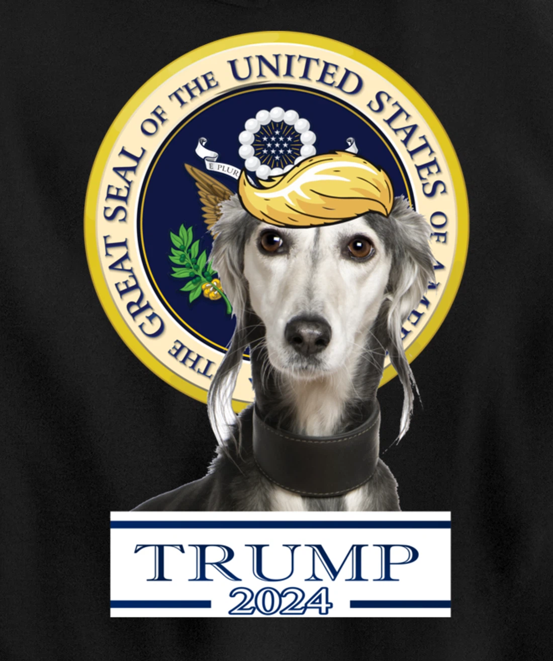 Trump 2024 Saluki Pullover Hoodie