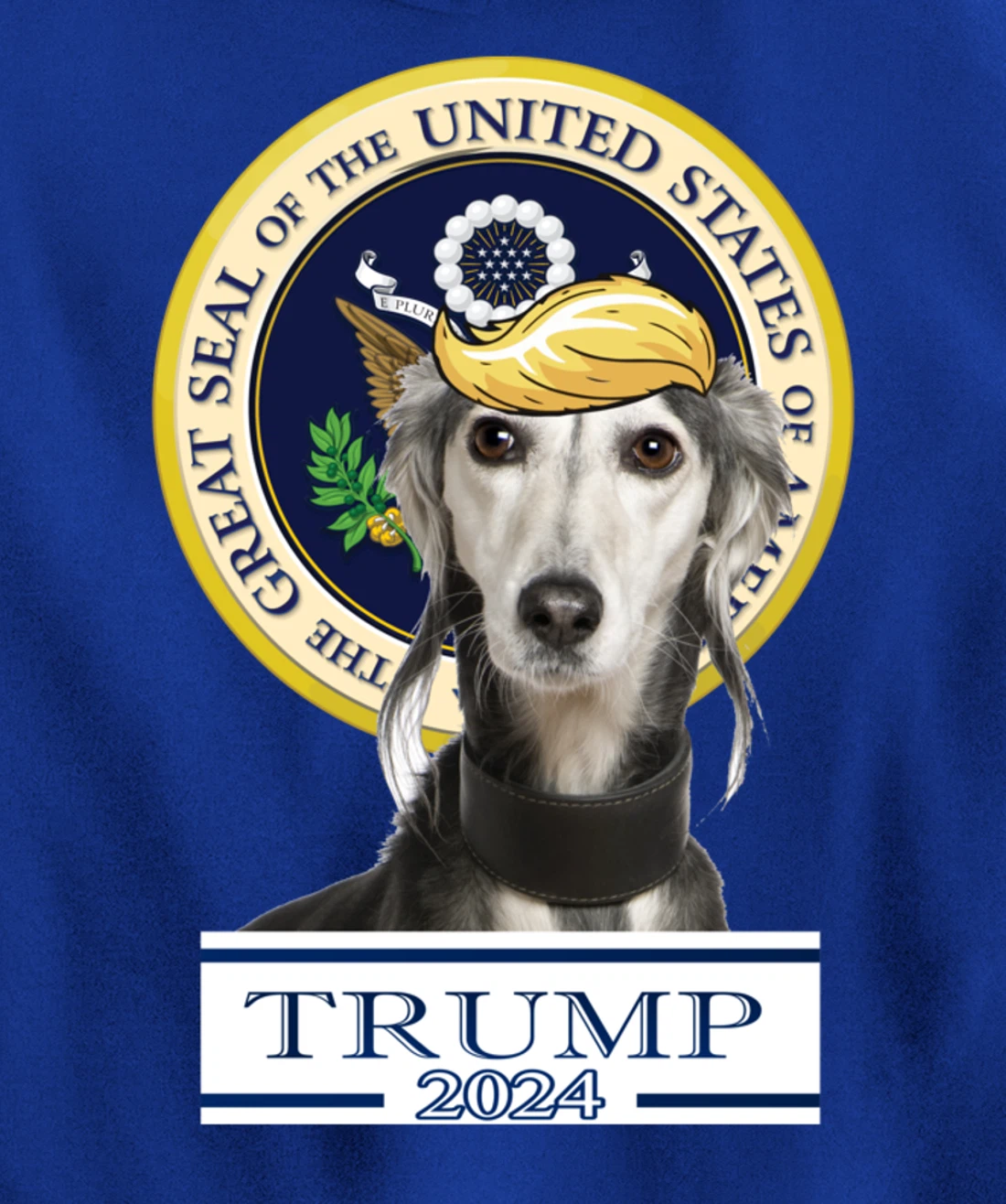 Trump 2024 Saluki Pullover Hoodie