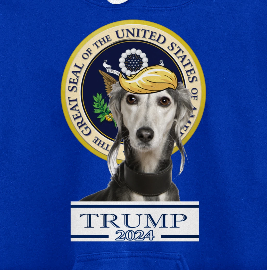 Trump 2024 Saluki Pullover Hoodie