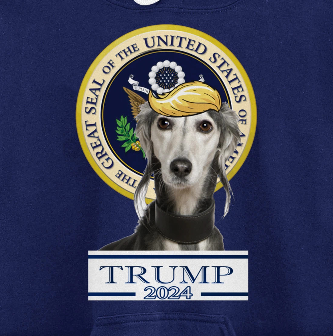Trump 2024 Saluki Pullover Hoodie