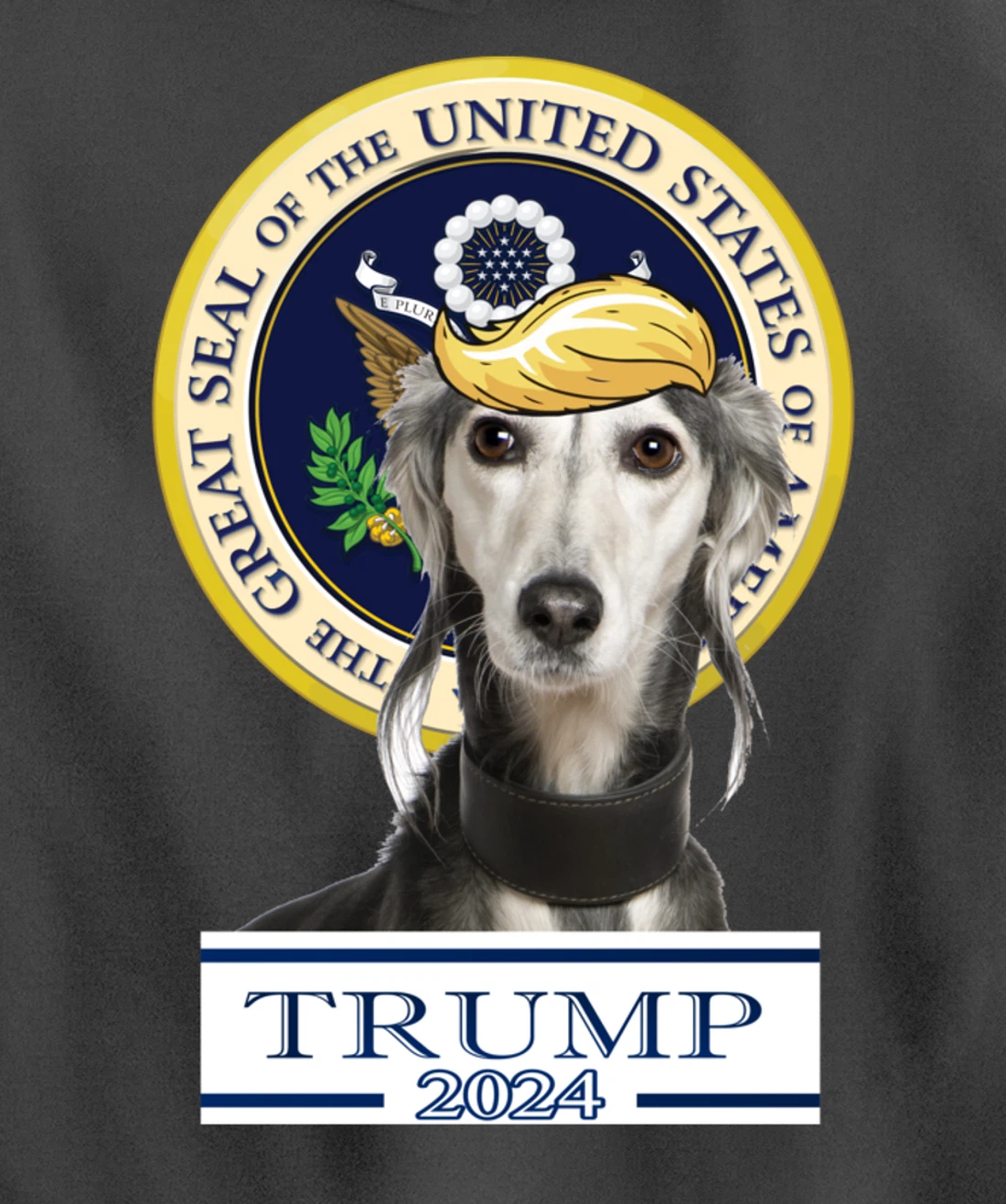 Trump 2024 Saluki Pullover Hoodie