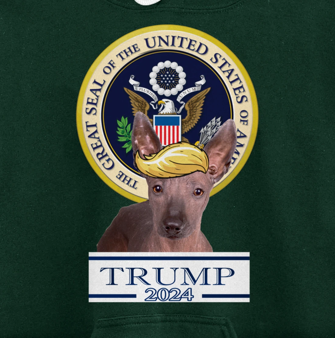 Trump 2024 Xoloitzcuintli Pullover Hoodie