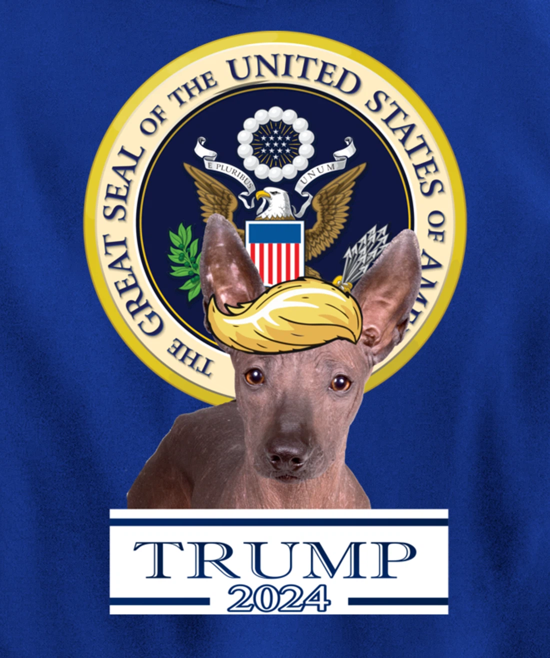 Trump 2024 Xoloitzcuintli Pullover Hoodie