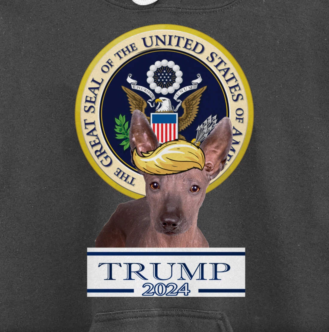 Trump 2024 Xoloitzcuintli Pullover Hoodie