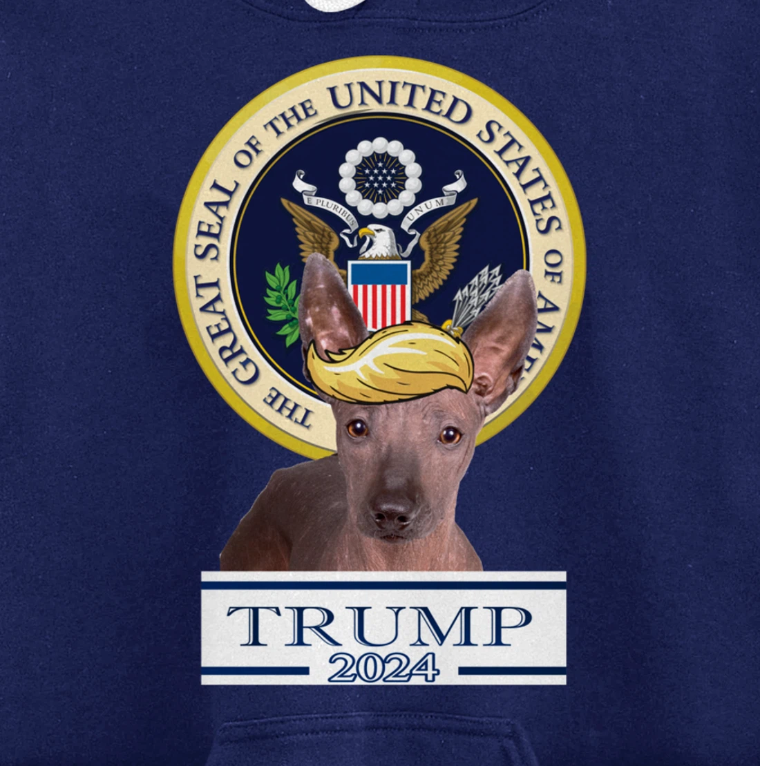 Trump 2024 Xoloitzcuintli Pullover Hoodie