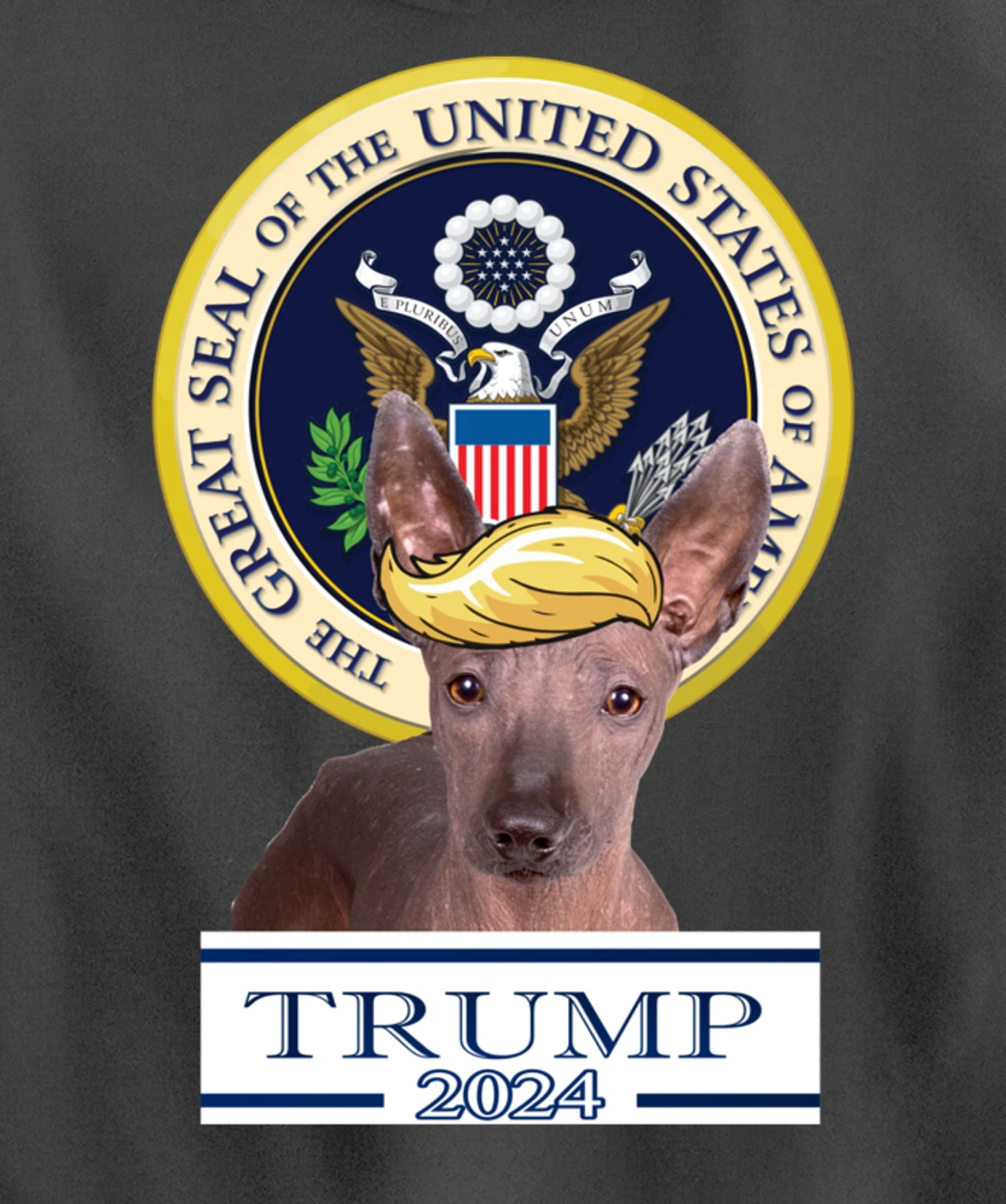 Trump 2024 Xoloitzcuintli Pullover Hoodie