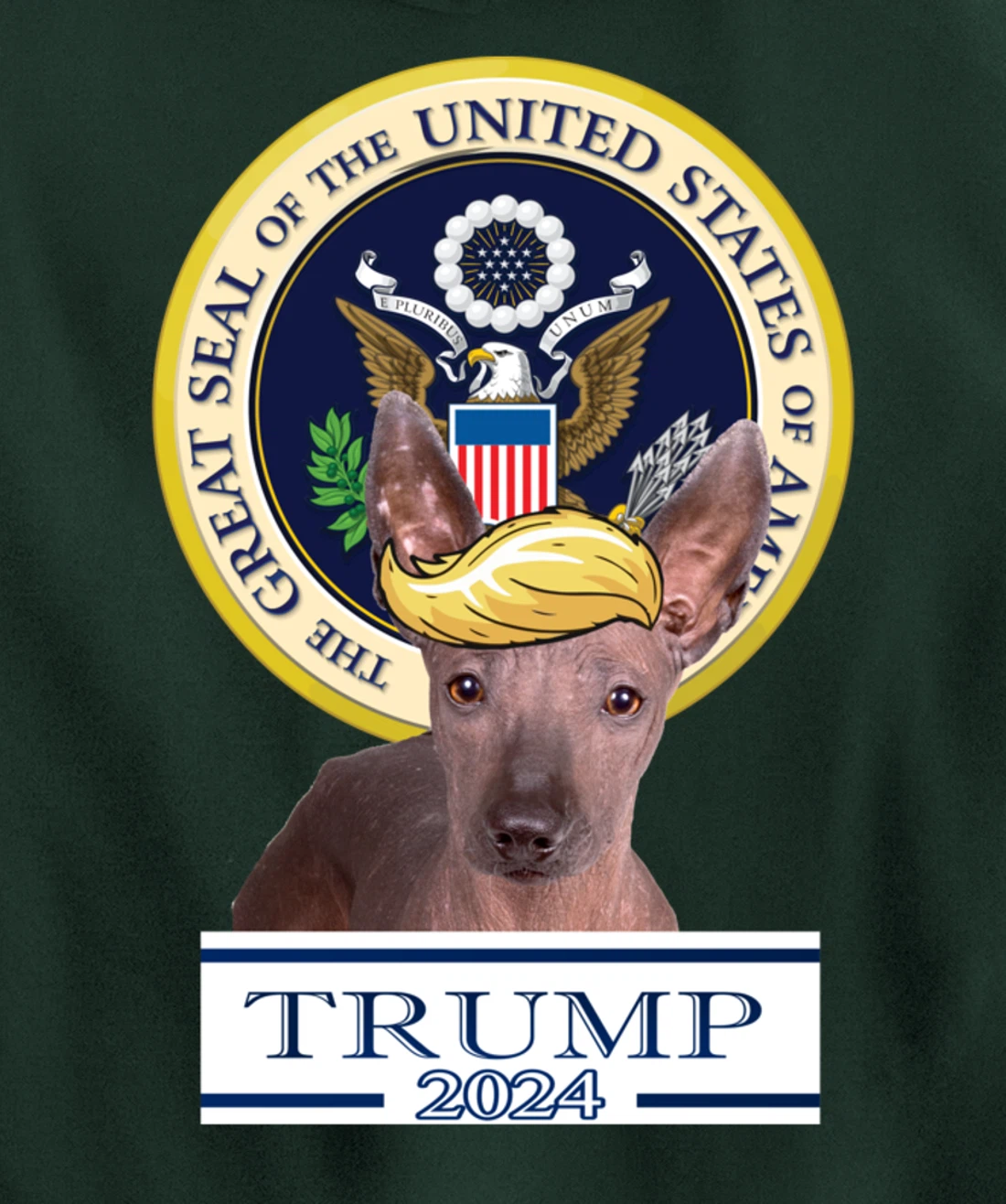 Trump 2024 Xoloitzcuintli Pullover Hoodie