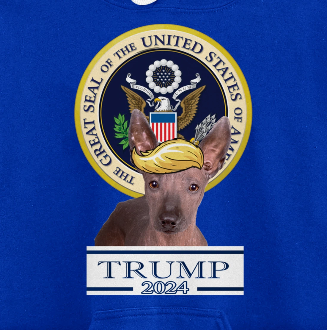 Trump 2024 Xoloitzcuintli Pullover Hoodie