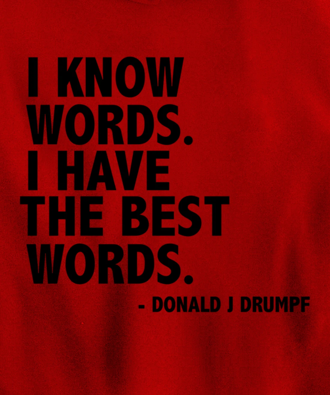 I Know Words Funny Donald Trump Ant-Trump Funny Gift Present Pullover Hoodie