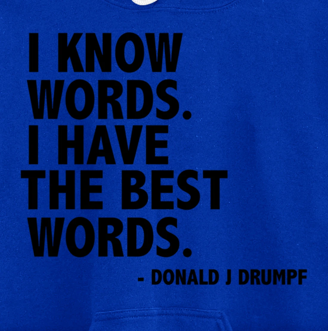 I Know Words Funny Donald Trump Ant-Trump Funny Gift Present Pullover Hoodie