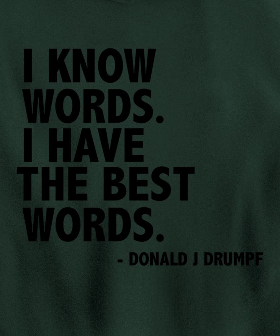 I Know Words Funny Donald Trump Ant-Trump Funny Gift Present Pullover Hoodie