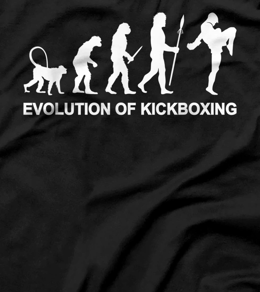 Evolution of Kickboxing Combat Sports Martial Arts Kickboxer T-Shirt, Women T-Shirt