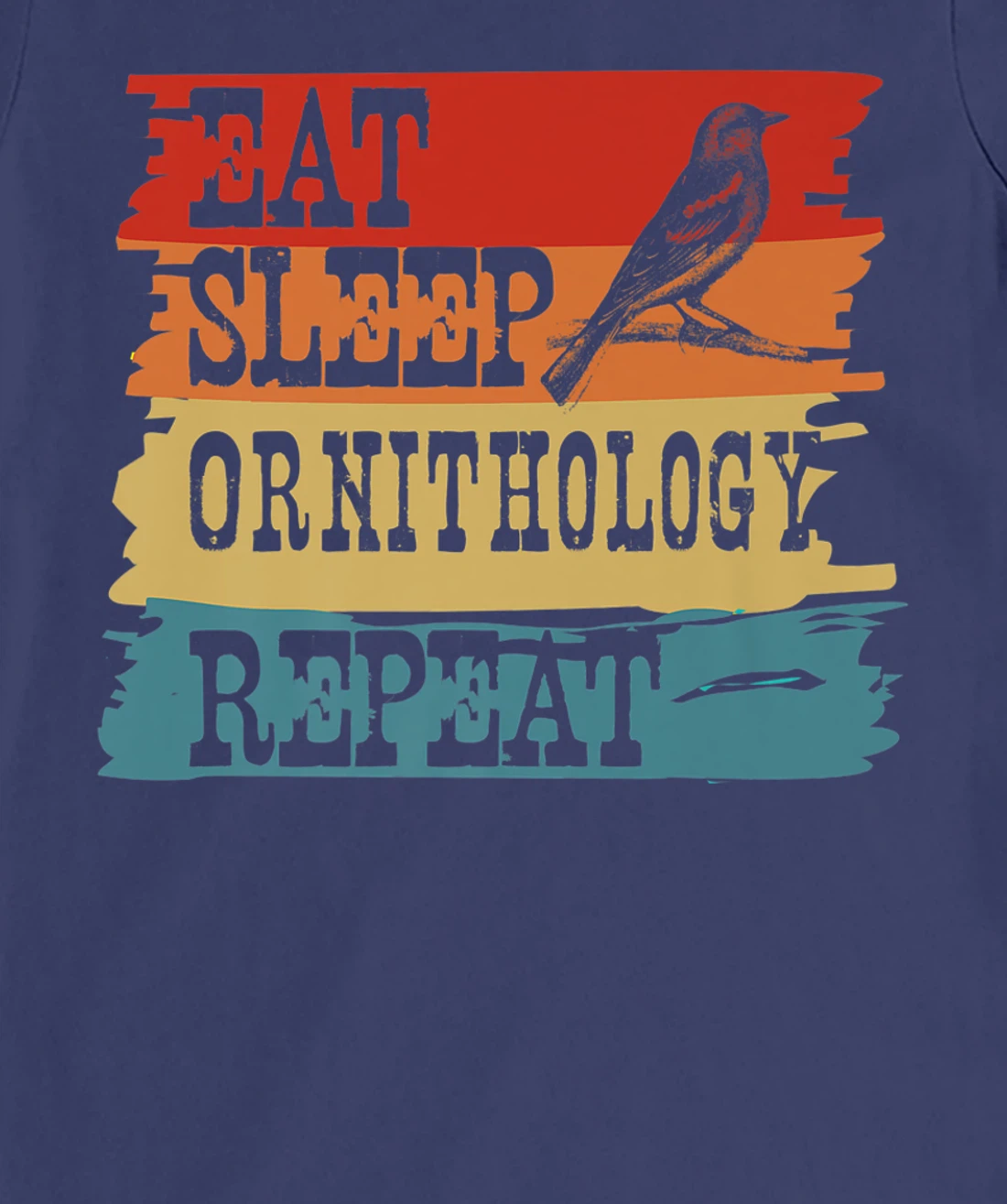 Eat Sleep Ornithology Repeat Retro Vintage Bird Watching T-Shirt, Women T-Shirt