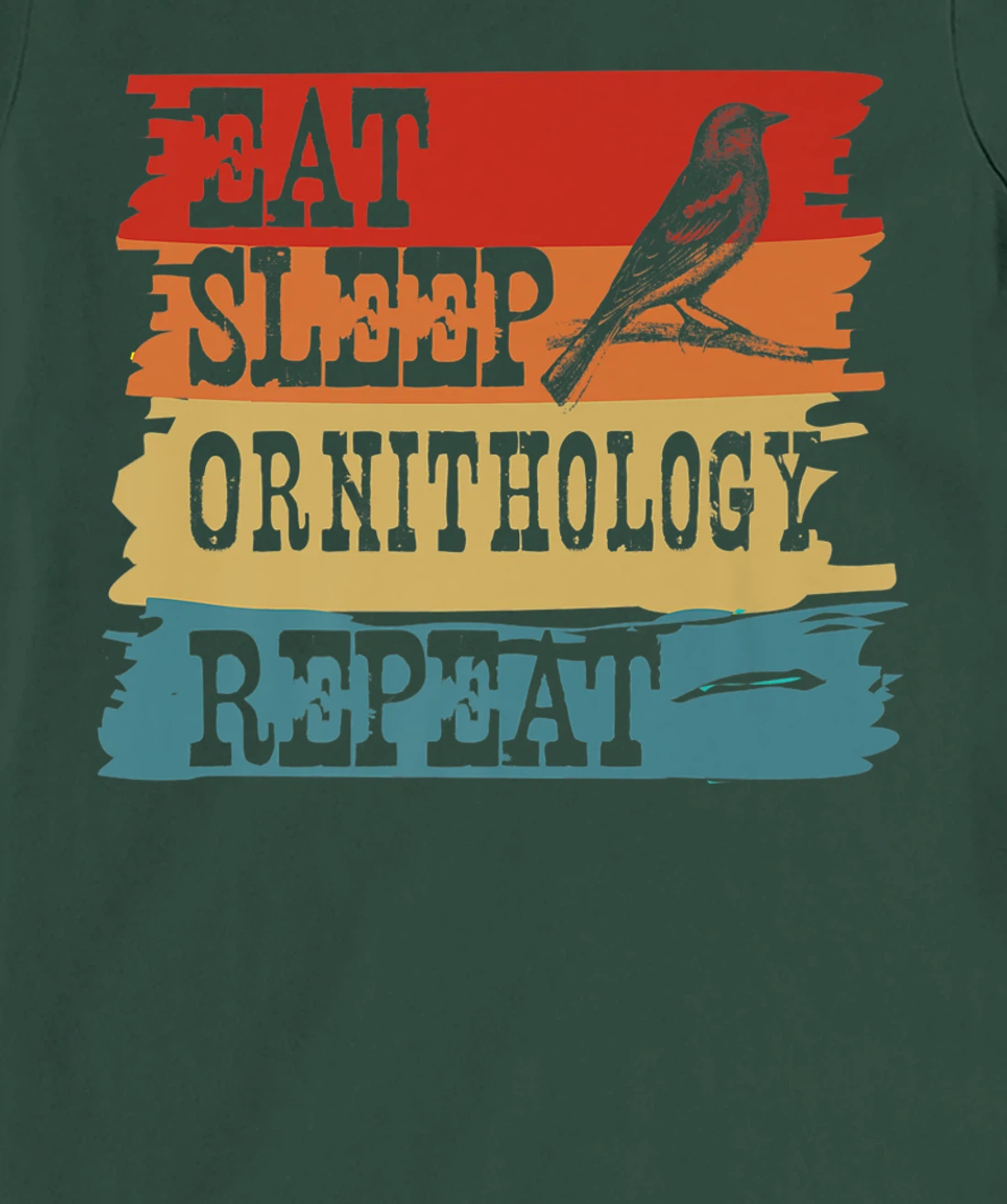 Eat Sleep Ornithology Repeat Retro Vintage Bird Watching T-Shirt, Women T-Shirt