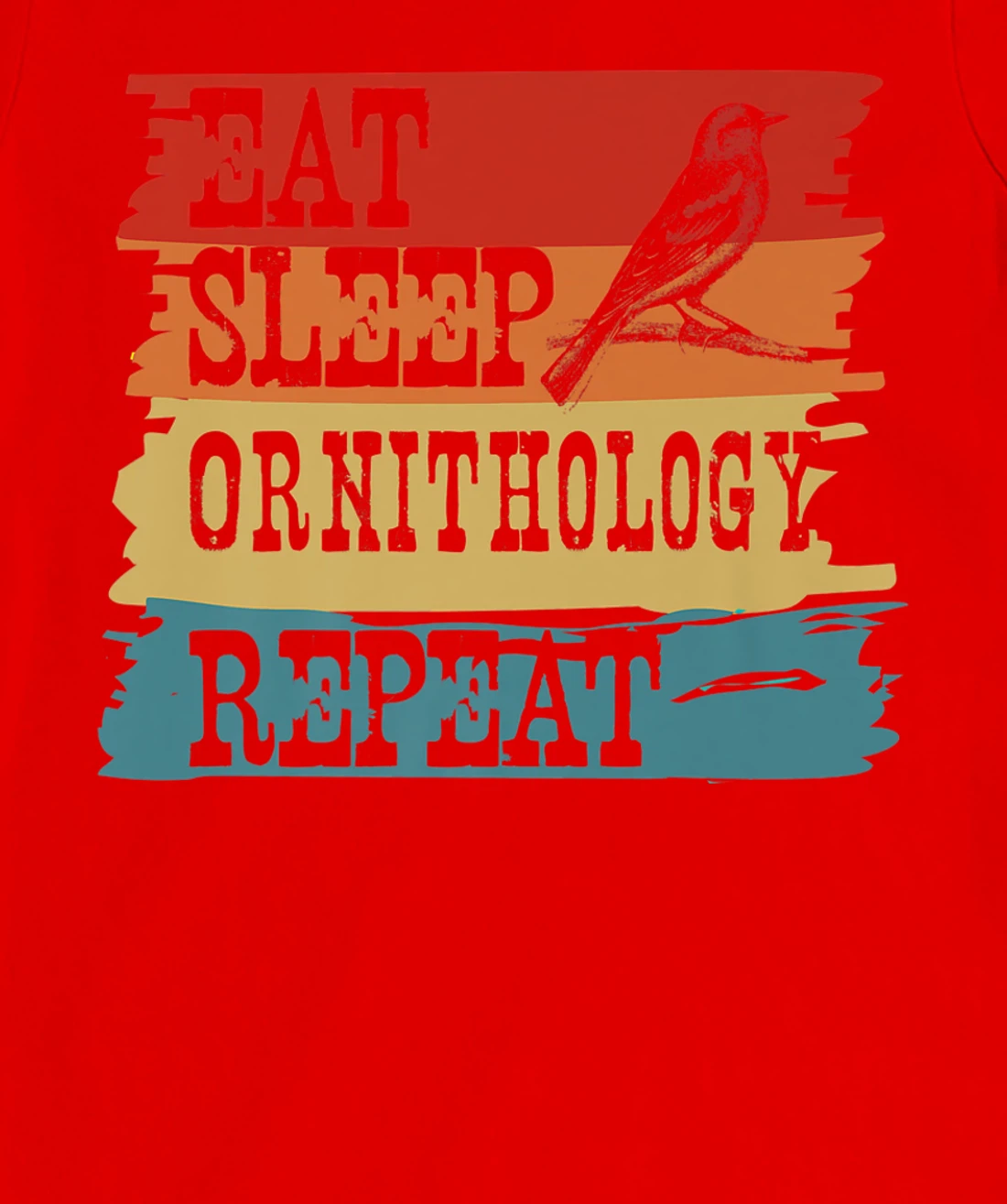 Eat Sleep Ornithology Repeat Retro Vintage Bird Watching T-Shirt, Women T-Shirt