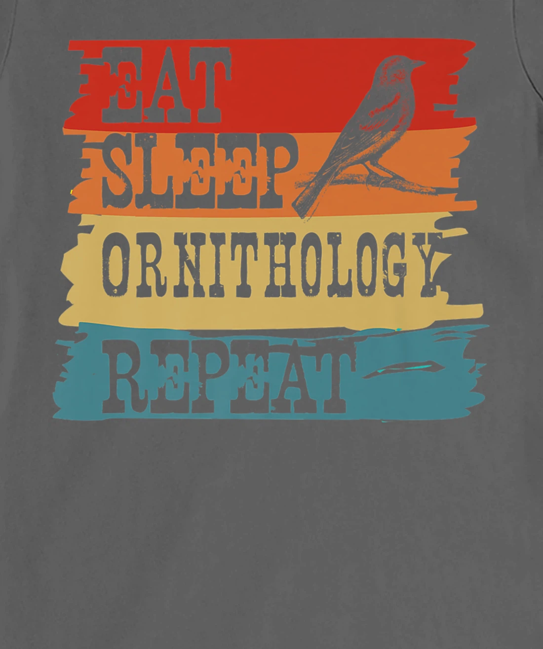 Eat Sleep Ornithology Repeat Retro Vintage Bird Watching T-Shirt, Women T-Shirt